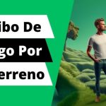 Ejemplo de Recibo de Compra-Venta: Guía Práctica y Ejemplos