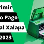 Imprimir recibo pago predial xalapa