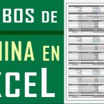 Optimización del formato estándar de recibo: una solución concisa y eficiente