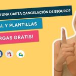 Plantilla gratuita para recibo de pago de seguro