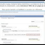 Opciones de Pago Fraccionado: La Solución Ideal para tus Compras
