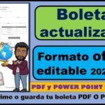 El formato ideal para la presentación de la boleta