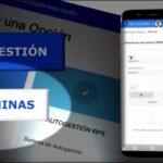 Cómo solicitar un recibo de consulta de manera eficiente