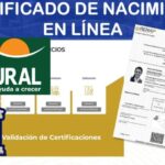 Recibo de Pago de Transporte para Estudiantes: Optimiza tus Gastos de Transporte Escolar