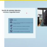 Normativa de Nóminas en Contratos Laborales: Guía Completa