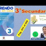 Ejemplos de Recibos de Pago de Becas Profesionales