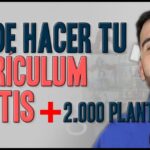 Plantilla de currículum: Crea un CV profesional de manera sencilla y efectiva