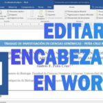 Optimización de encabezados y subencabezados en informes: Cómo mejorar la estructura y legibilidad