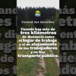 La Responsabilidad del Empleador en los Impuestos Laborales: Guía Completa