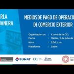Beneficios del Pago Diferido: Una Guía Concisa