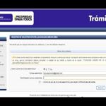 Optimización de formatos digitales para recibos de cita
