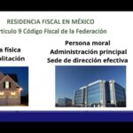 La Importancia de los Recibos de Dividendos: Maximizando tus Ganancias