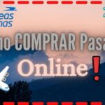 Elementos esenciales en un recibo de boleto: Todo lo que debes saber