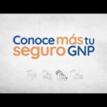 Guía rápida para solicitar un recibo de seguro