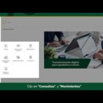 Optimiza tus recibos de consulta de negocios con estos consejos