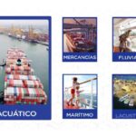 Recibo de Pago de Transporte Digital: La Nueva Era de la Comodidad