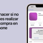 Elementos esenciales en un recibo de pago de suscripción