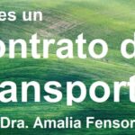 Derechos del pasajero: Todo lo que debes saber sobre el recibo de transporte