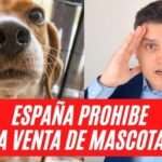 Recibo de compra-venta de mascotas: Todo lo que necesitas saber