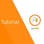Optimización de los Reportes de Nómina: Eficiencia y Concision