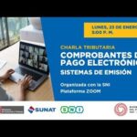 Confirmación de pago: ¡Ingreso exitoso!