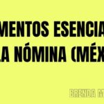 Los elementos esenciales en un recibo: una guía completa