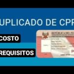 Cómo solicitar un duplicado de recibo de multa de forma eficiente