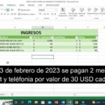 Optimización del control de ingresos: Estrategias para mejorar la gestión financiera en tu negocio