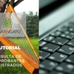 Optimización del recibo de consulta para servicios personales: Maximiza tu eficiencia financiera