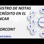 Errores comunes en recibos de préstamo: Cómo evitarlos