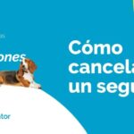 Recibo de Pago de Seguro: Cancelaciones Simplificadas