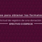 Ejemplo de recibo de donación: Plantilla optimizada y concisa