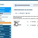 Análisis detallado de los servicios contratados: Una guía completa